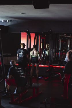 Phoenix Fitness Coaching | Physiques Gym