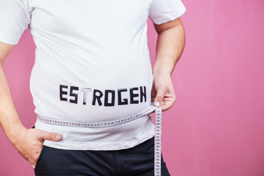 High Estrogen and Increased Body Fat | article by Cara Barnes